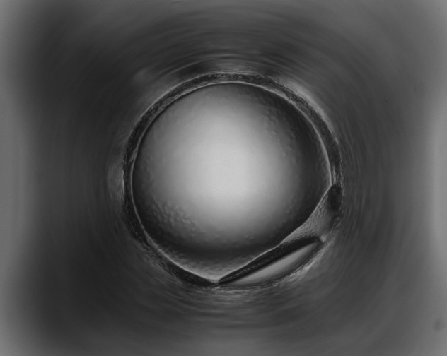 X0000088360829200705291305