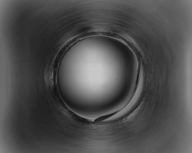 X0000088360830200705291305