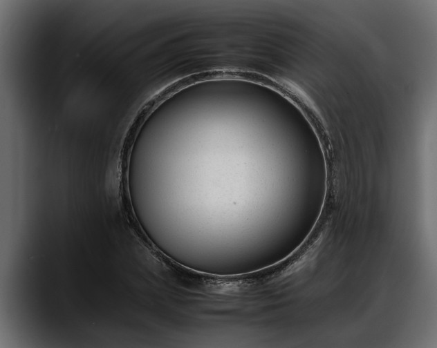 X0000088360831200705291305