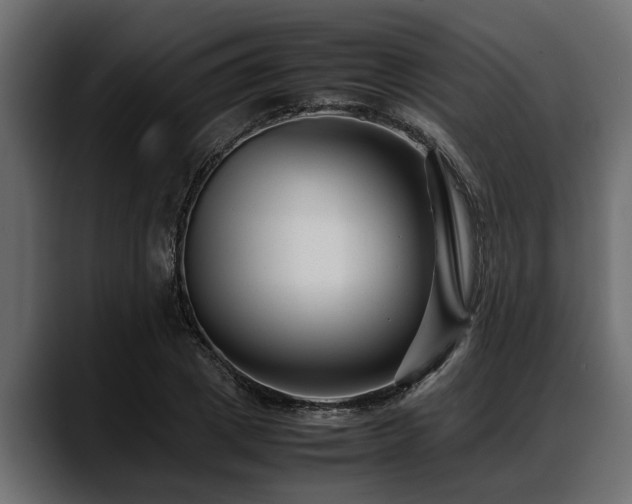 X0000088360833200705291305