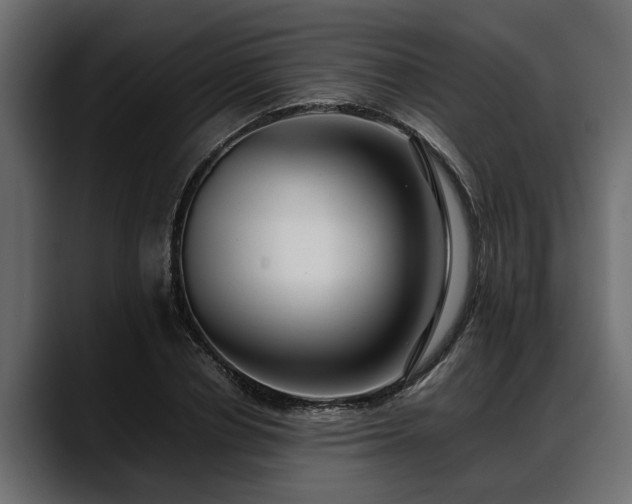 X0000088360834200705291305