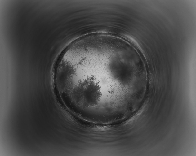 X0000088360835200705291305