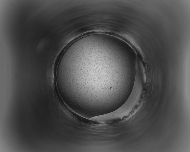 X0000088360837200705291306