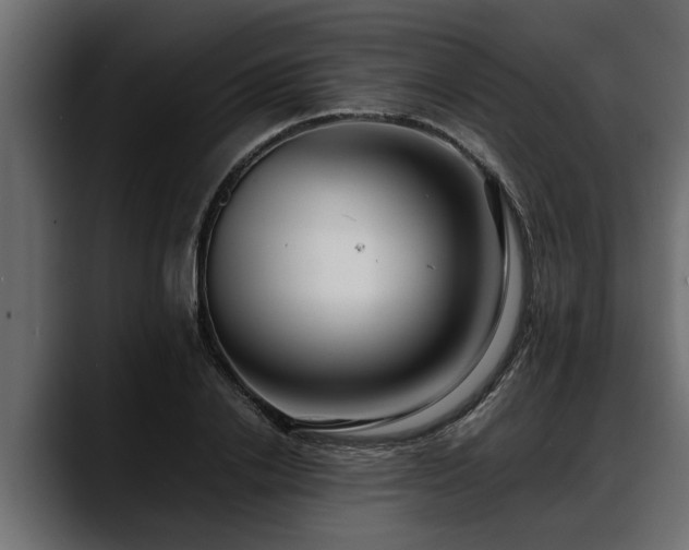 X0000088360838200705291306