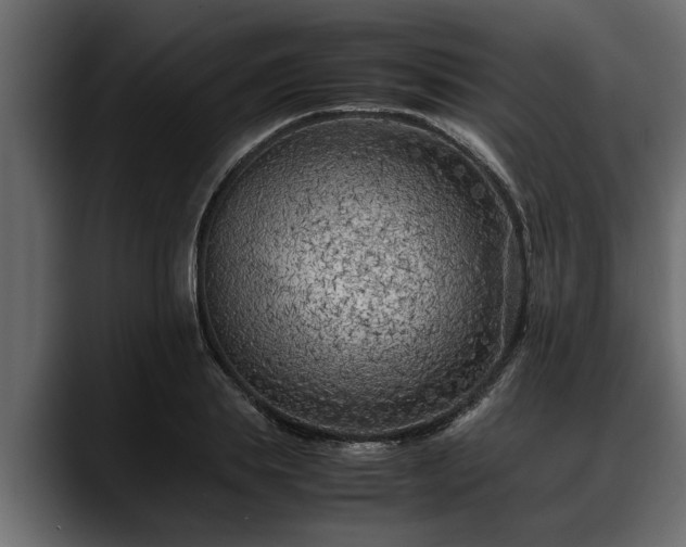 X0000088360839200705291306