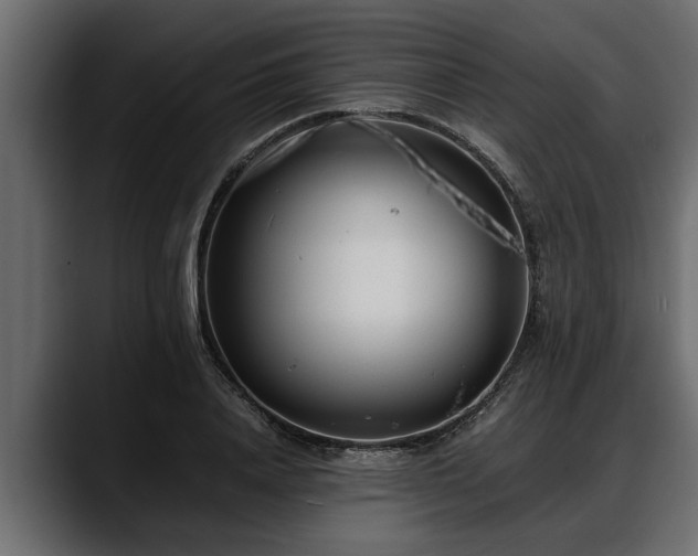 X0000088360840200705291306