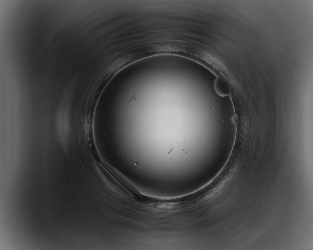 X0000088360841200705291306