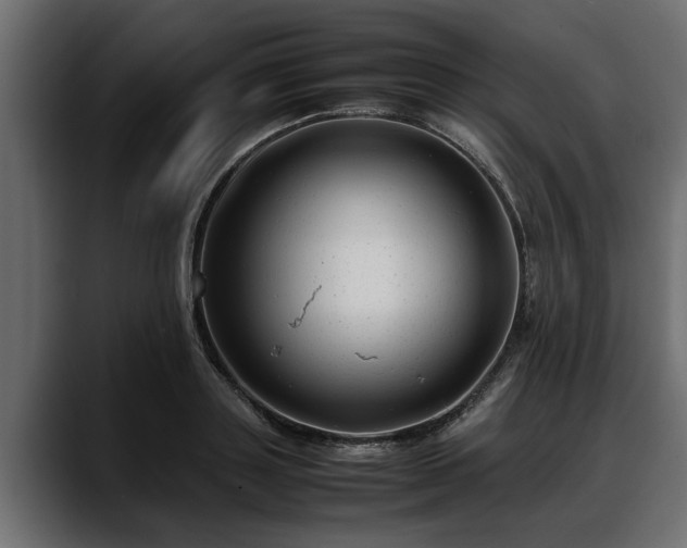 X0000088360843200705291306