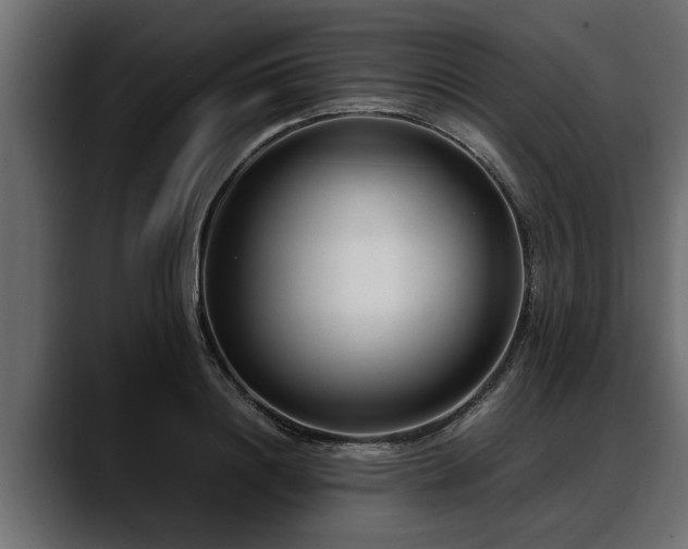 X0000088360844200705291306