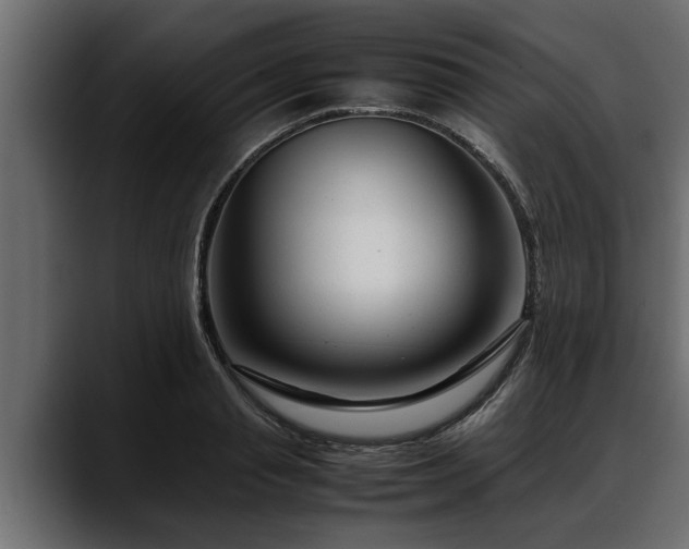 X0000088360845200705291306