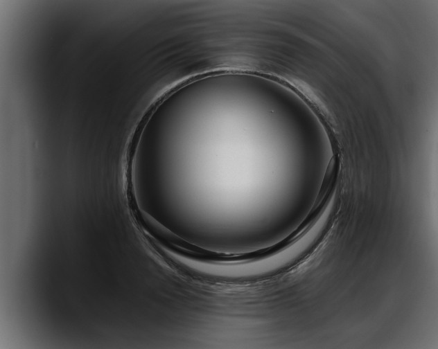 X0000088360846200705291306