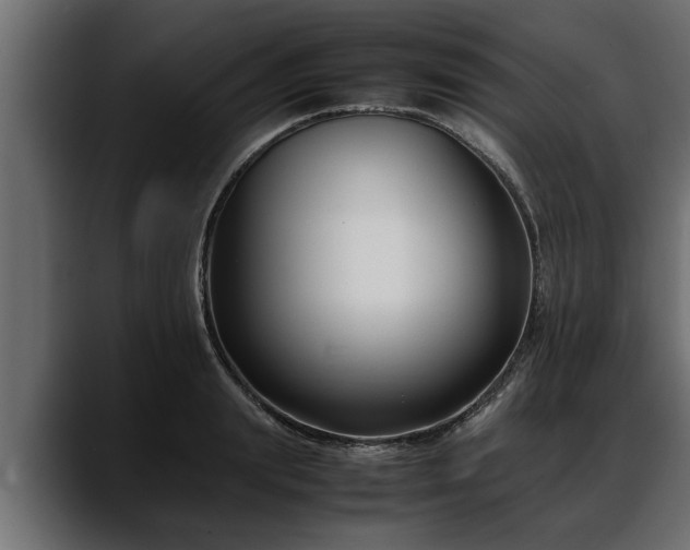 X0000088360847200705291306