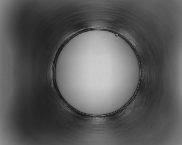 X0000088360848200705291306