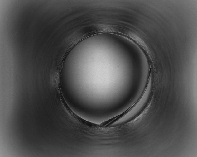 X0000088360849200705291306