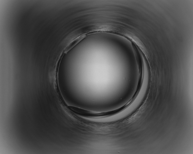 X0000088360850200705291306