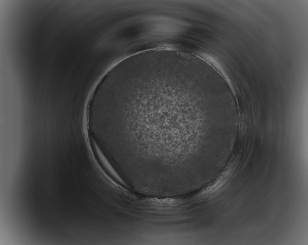 X0000088360851200705291306