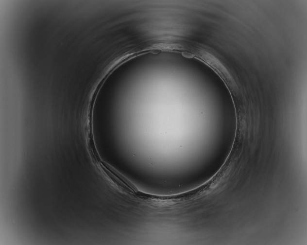 X0000088360852200705291306