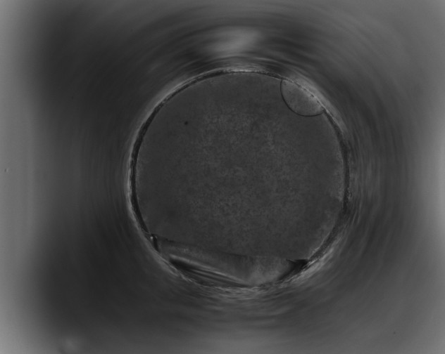 X0000088360853200705291306