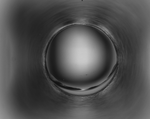 X0000088360854200705291306