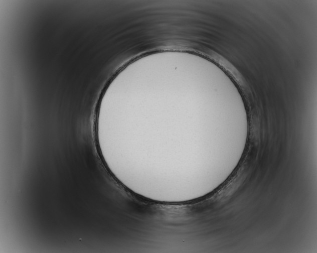 X0000088360856200705291306