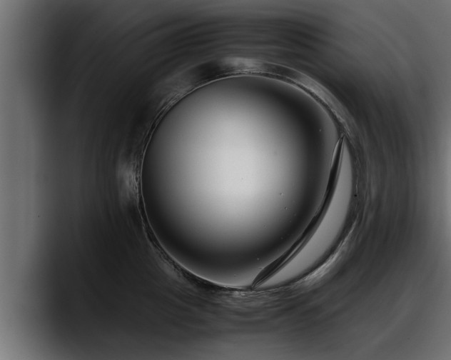 X0000088360857200705291306