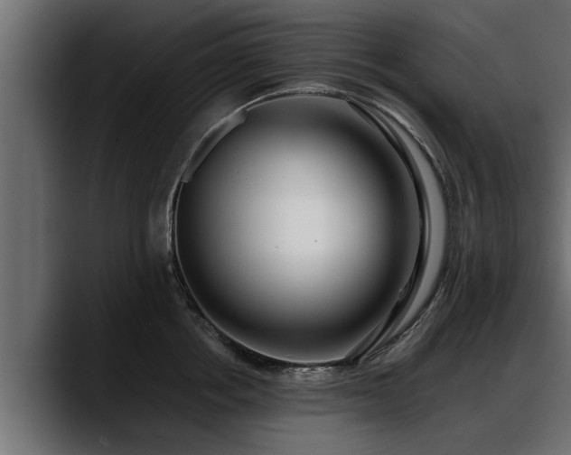 X0000088360858200705291306