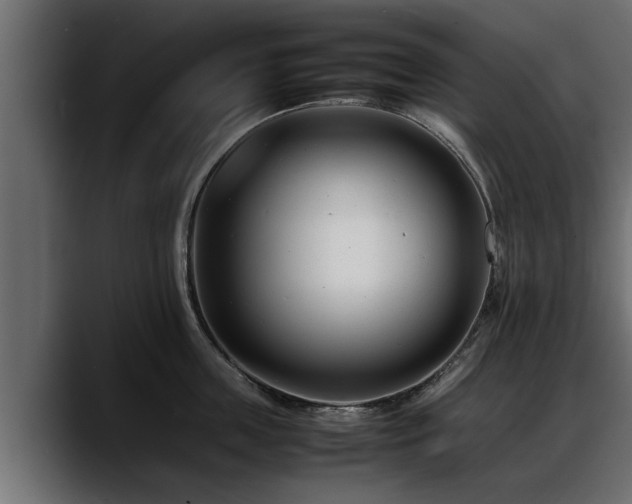 X0000088360859200705291306