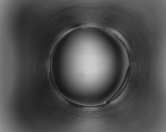 X0000088360860200705291306