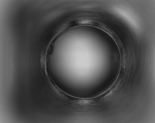 X0000088360861200705291306