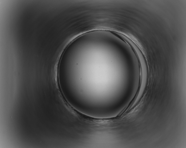 X0000088360862200705291306