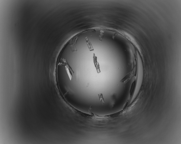 X0000088360863200705291306