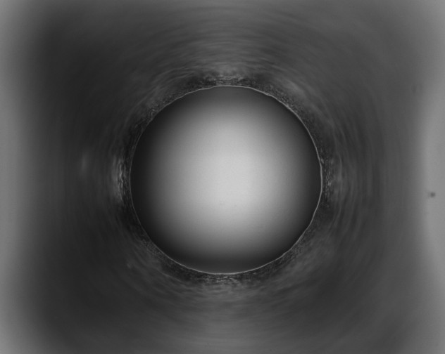 X0000088360866200705291305