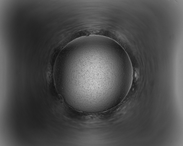 X0000088360867200705291305