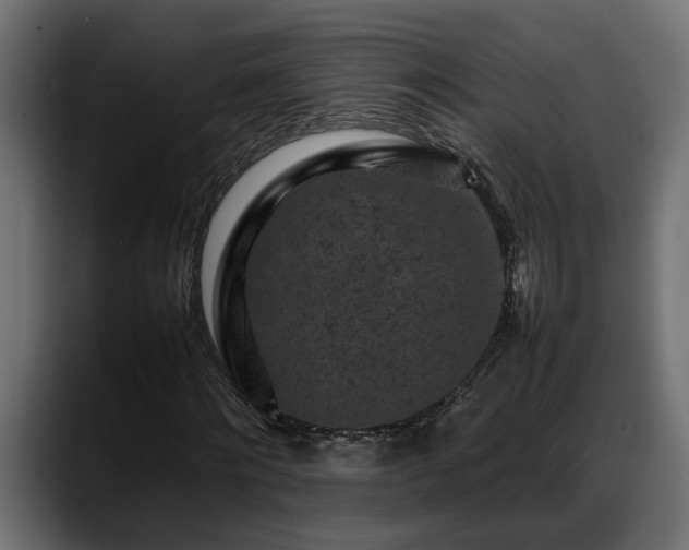 X0000088360868200705291305