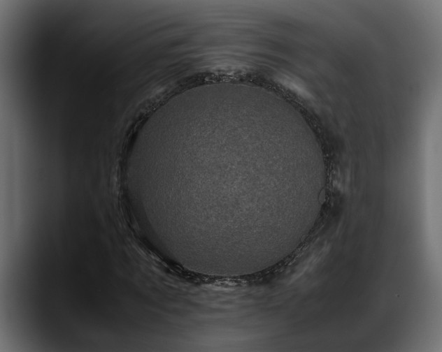 X0000088360869200705291305