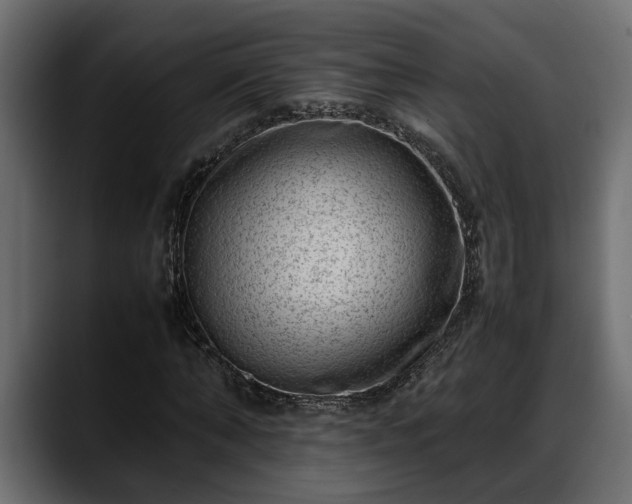 X0000088360870200705291305