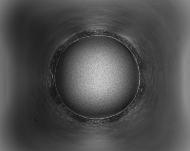 X0000088360871200705291305