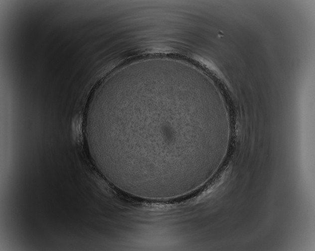 X0000088360873200705291305