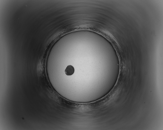 X0000088360874200705291305