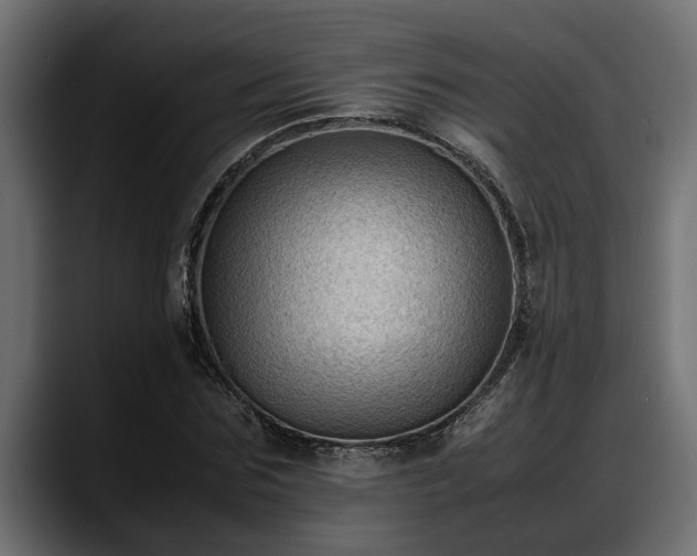 X0000088360875200705291305