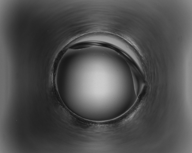 X0000088360877200705291305