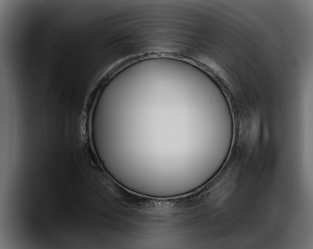 X0000088360878200705291305