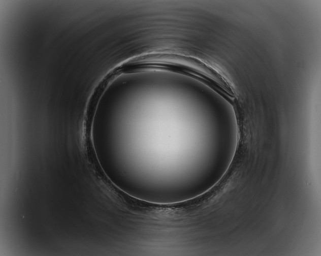 X0000088360880200705291305