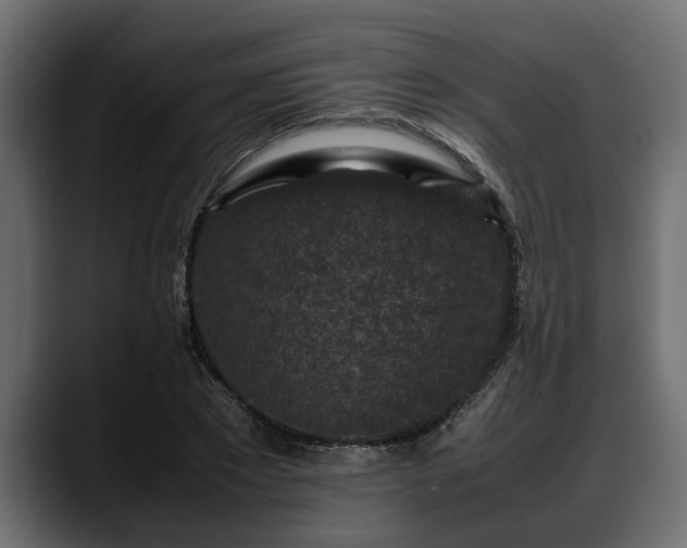 X0000088360881200705291305