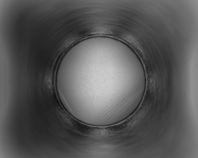 X0000088360882200705291305