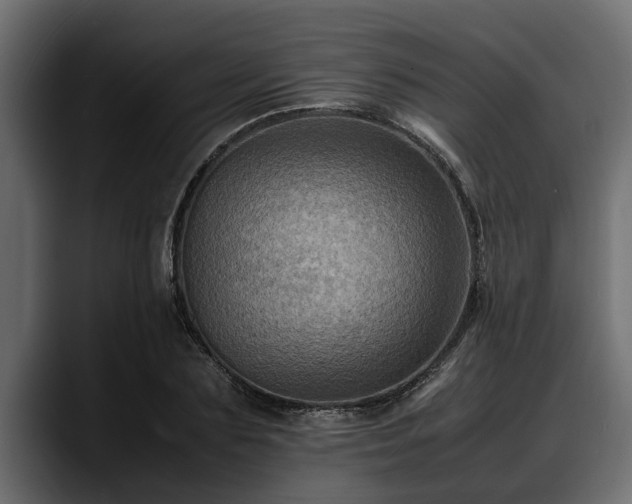 X0000088360883200705291305