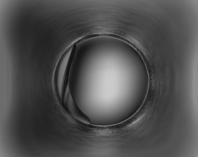 X0000088360885200705291305