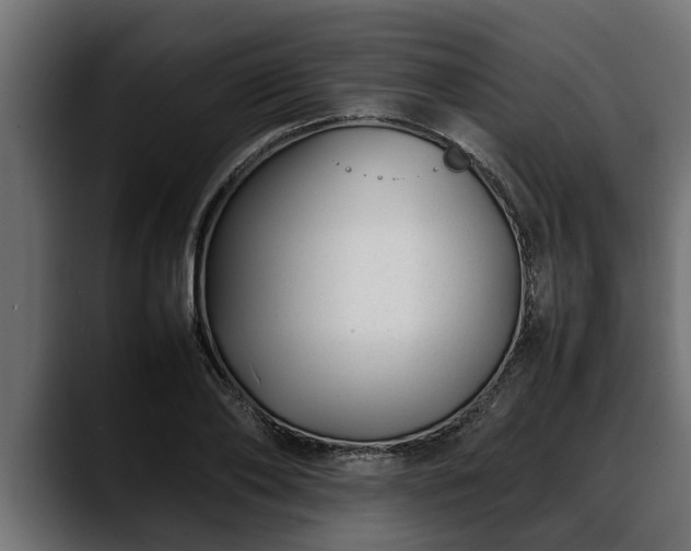 X0000088360886200705291305