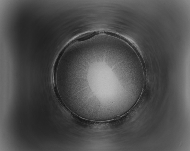 X0000088360887200705291305