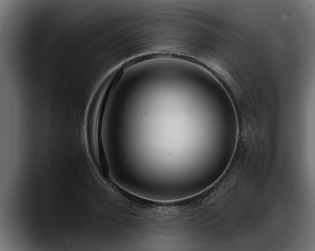 X0000088360888200705291305